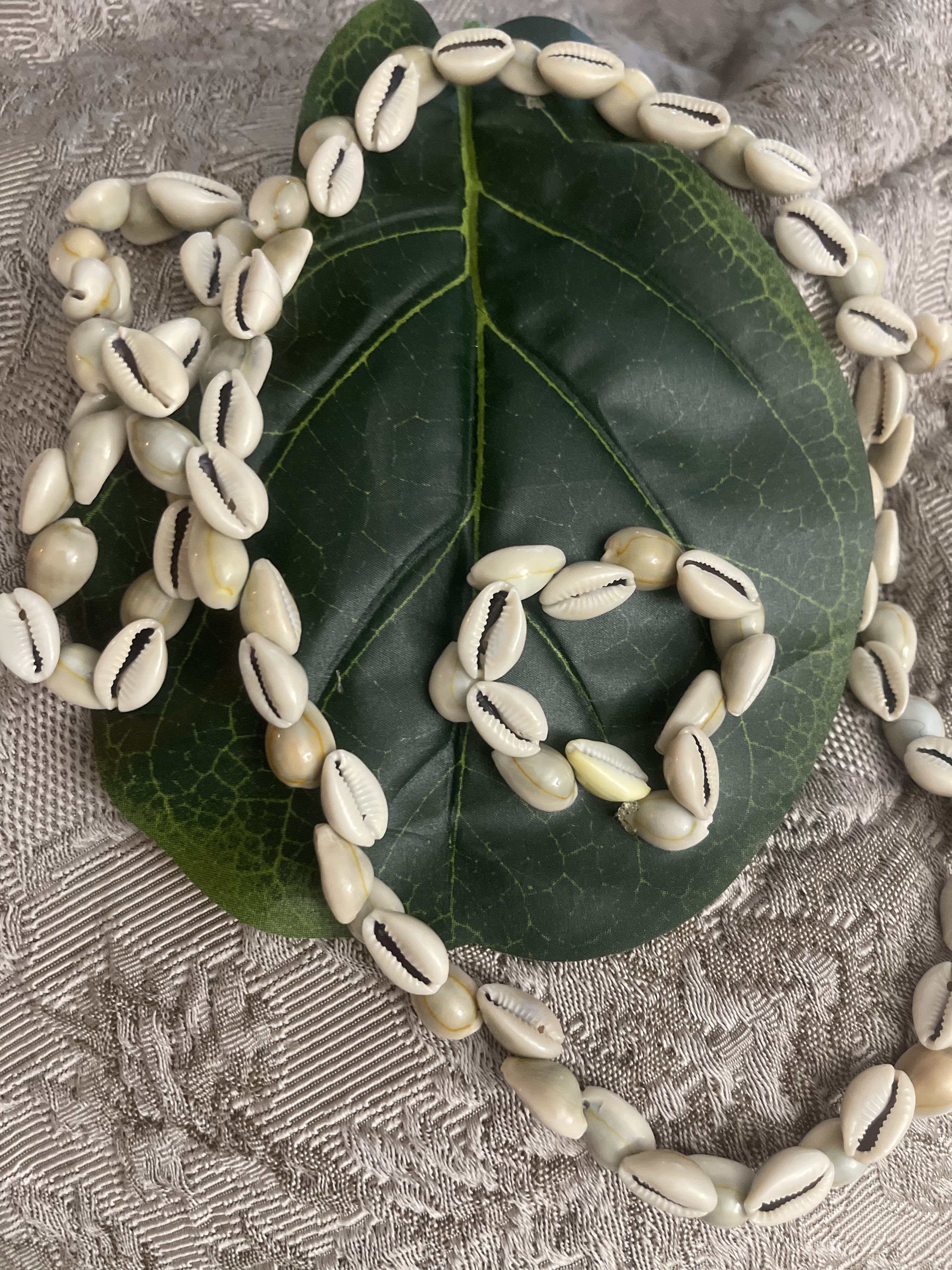 Cowries Bracelet 